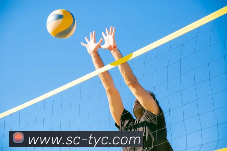 澳门太阳城网站服务体系